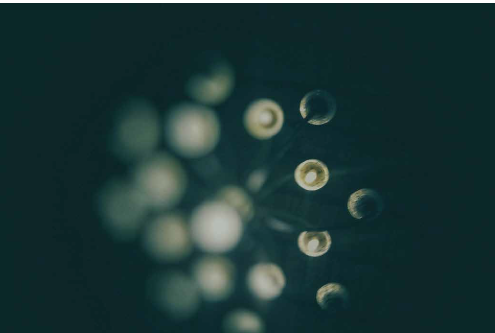 <h2>ATMP Danmark er en national samarbejdsstruktur for avancerede terapier&nbsp;</h2>